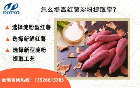 紅薯出淀粉率是多少？怎么提高紅薯出淀粉率？