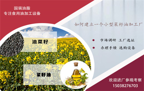 如何建立一個小型菜籽油加工廠?