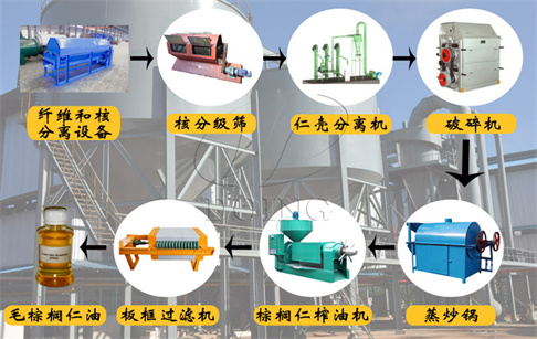 自動化棕櫚仁油生產(chǎn)線包含哪些設(shè)備?各設(shè)備的作用是什么?