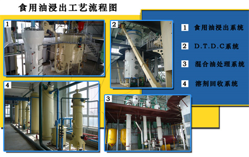 壓榨,浸出兩種大豆油加工工藝哪種比較好?