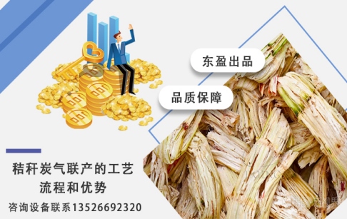秸稈炭氣聯(lián)產(chǎn)是怎么回事？炭氣聯(lián)產(chǎn)工藝流程和優(yōu)勢(shì)？