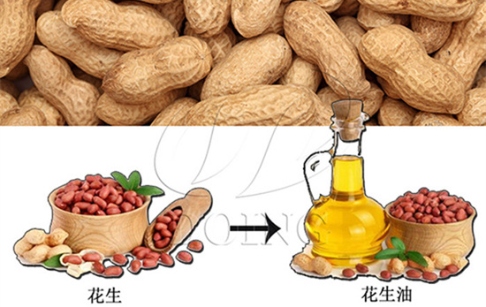 壓榨花生油需要精煉嗎？壓榨油好還是精煉油好？