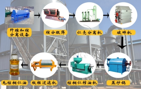 棕櫚仁專用榨油機(jī)出油率高嗎？如何選擇棕櫚仁油壓榨設(shè)備？