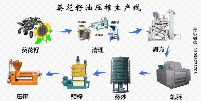 食用油預榨浸出設備